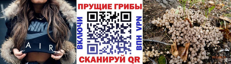 где найти наркотики Облучье Галлюциногенные грибы мухоморы